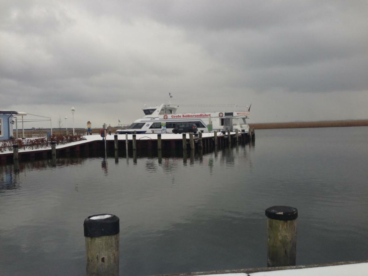Fewo Am Alten Hafen - Zingst Ostseebad Esterno foto