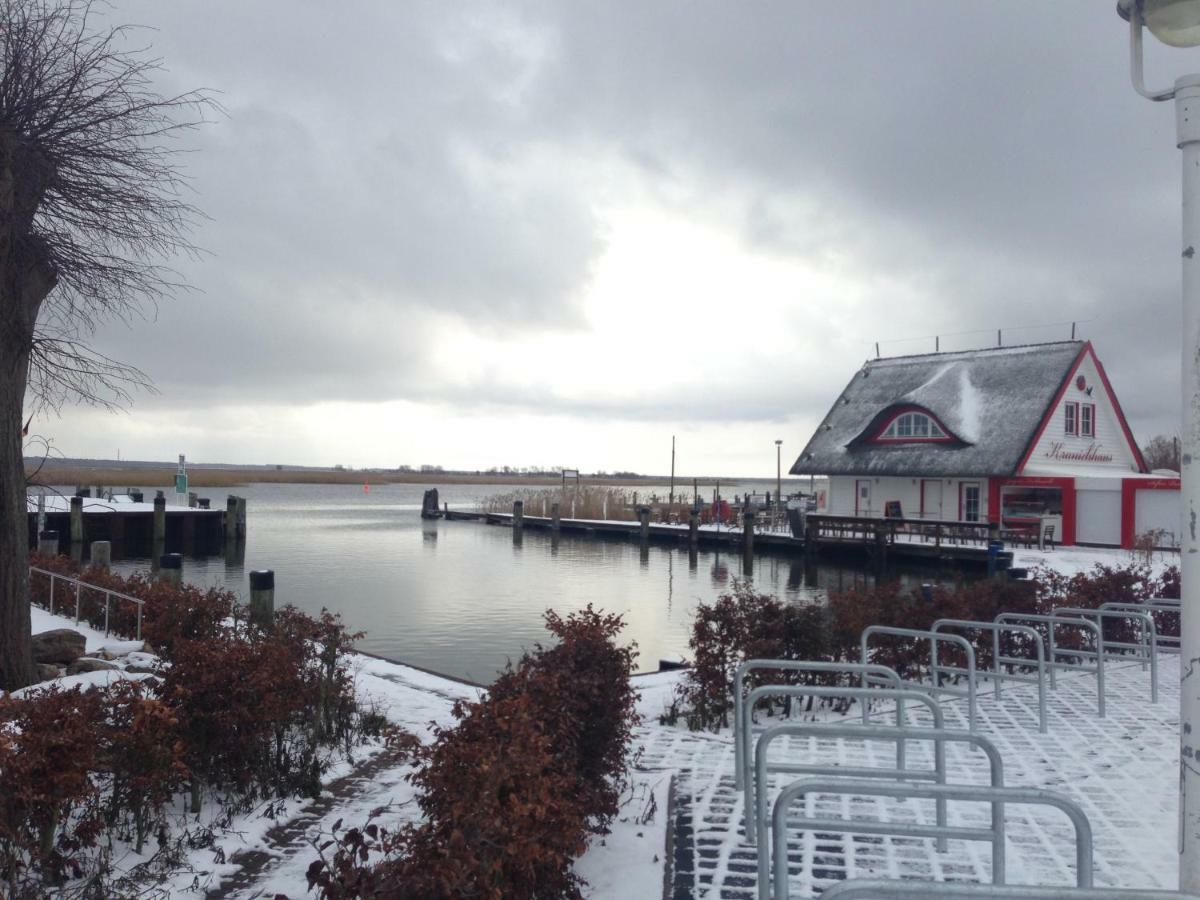 Fewo Am Alten Hafen - Zingst Ostseebad Esterno foto